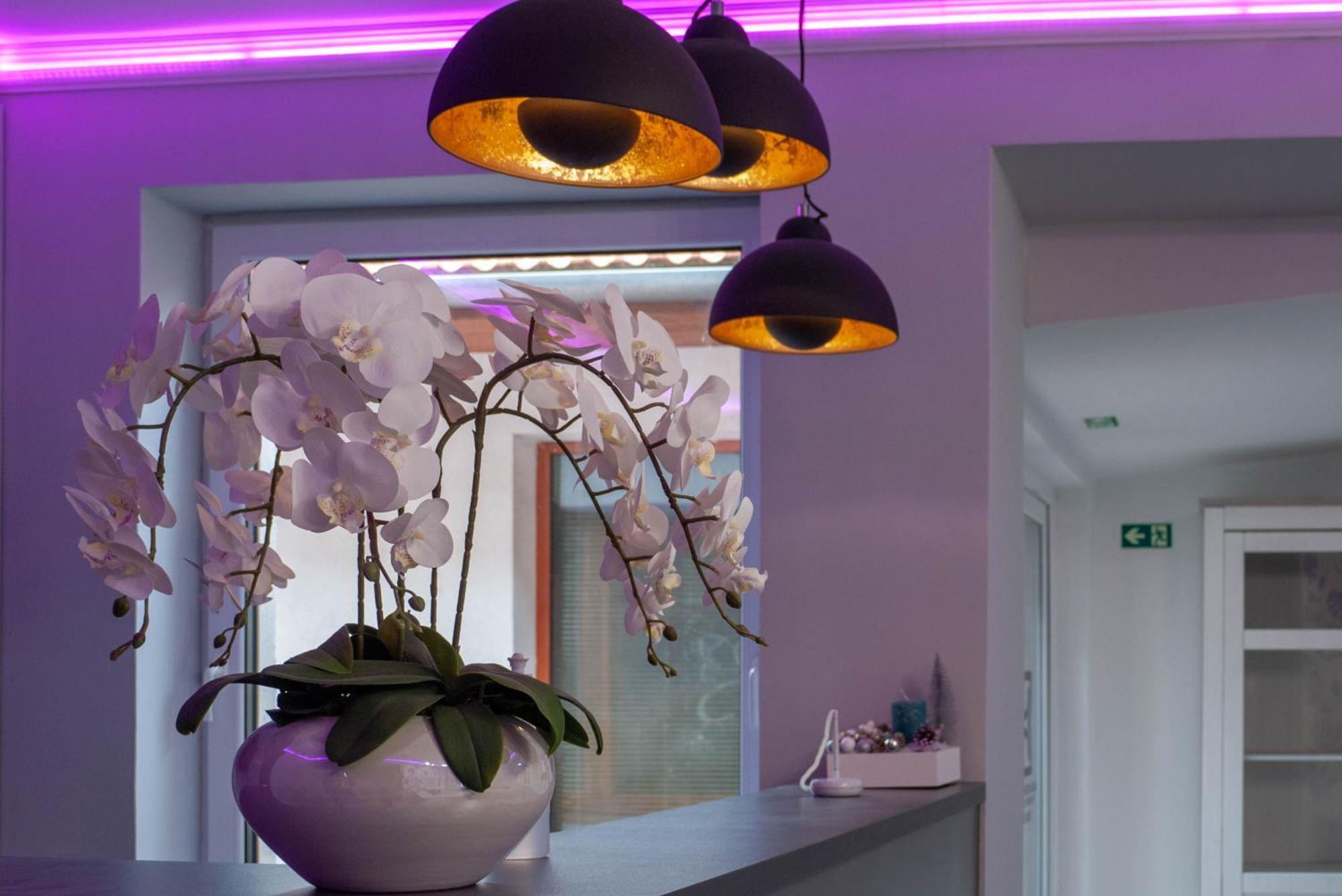 Bornemisza Kuria Wellness Resort Tiszabecs Extérieur photo